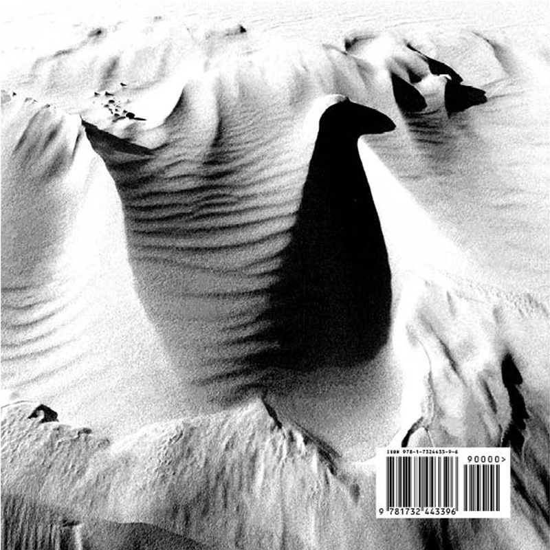 Still Motion back cover